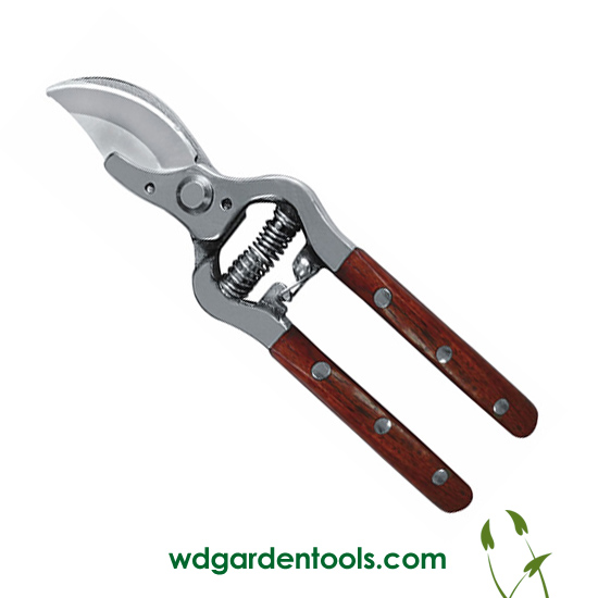 Small pruning shears