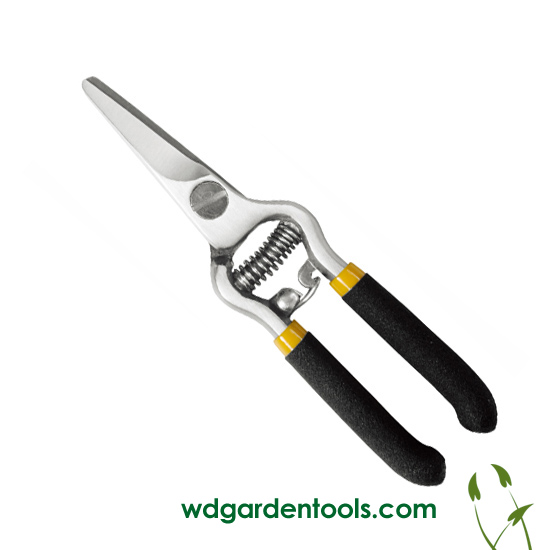 Best pruners