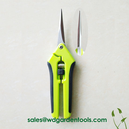 Small pruning shears