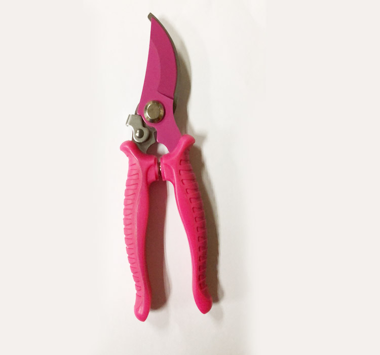 pruning shears cutterProtected loop blade pruning shear