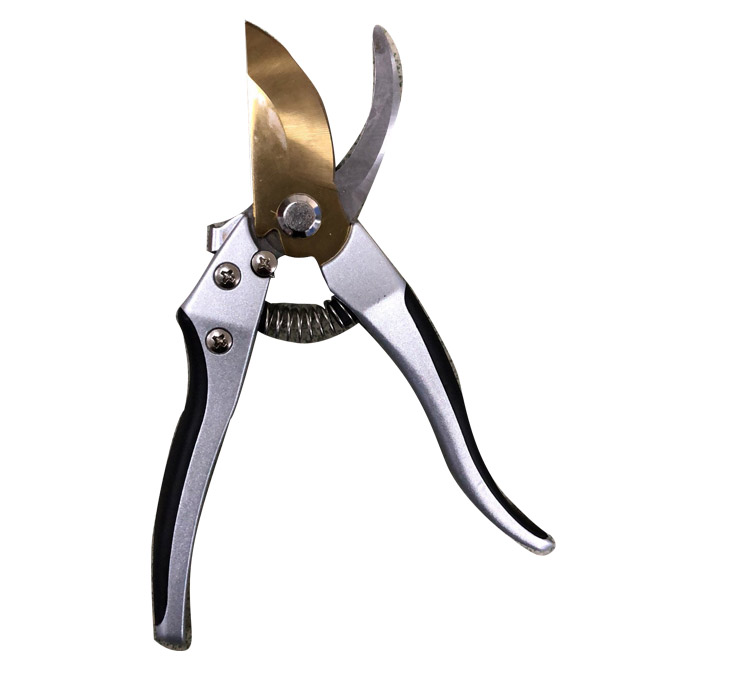 Best pruning shears